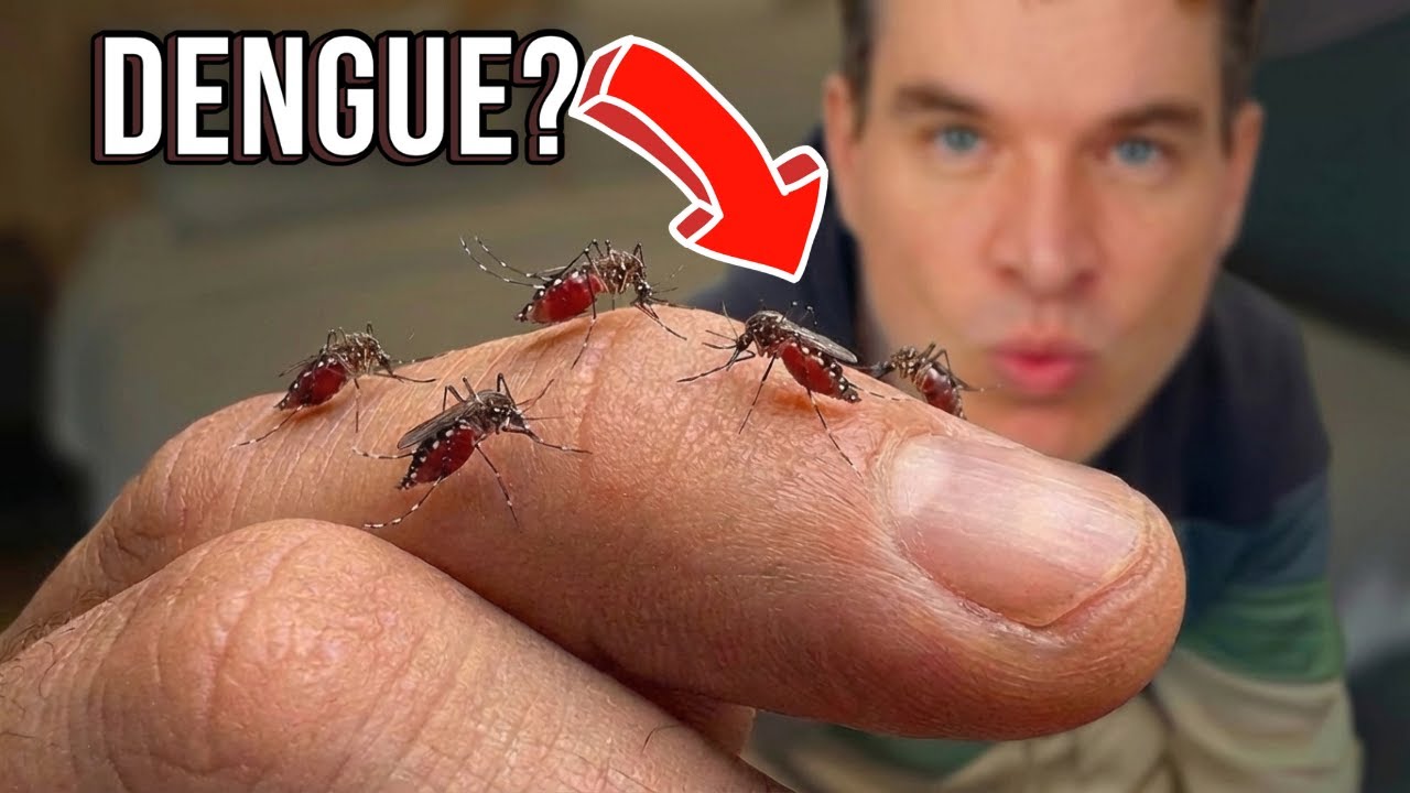 Tem CERTEZA que NÃO é DENGUE? Veja ISSO Antes de Correr pro Hospital