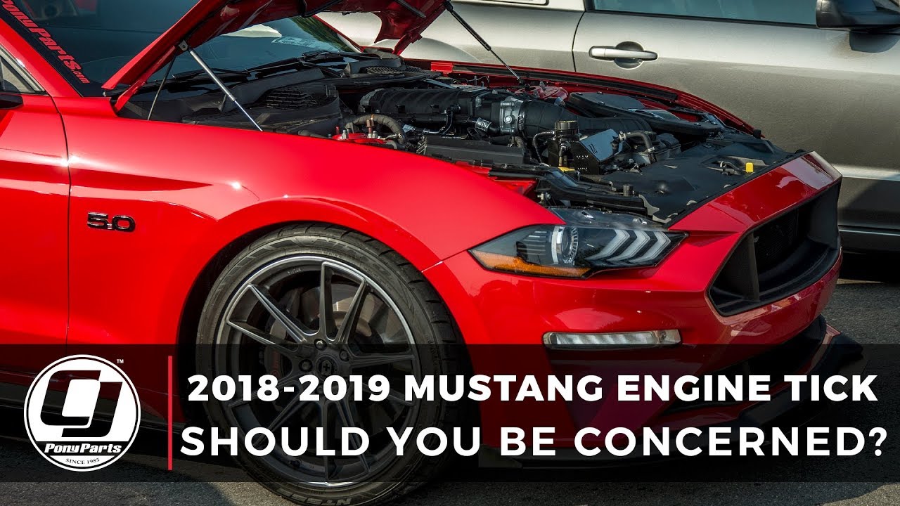 Mustang Tick 2018-2019: стоит ли беспокоиться?