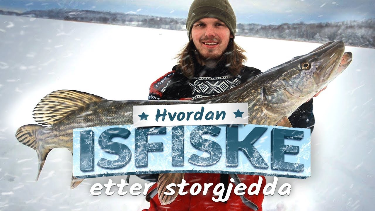 Isfiske etter storgjedda - dette er hvordan - Skittfiske.no