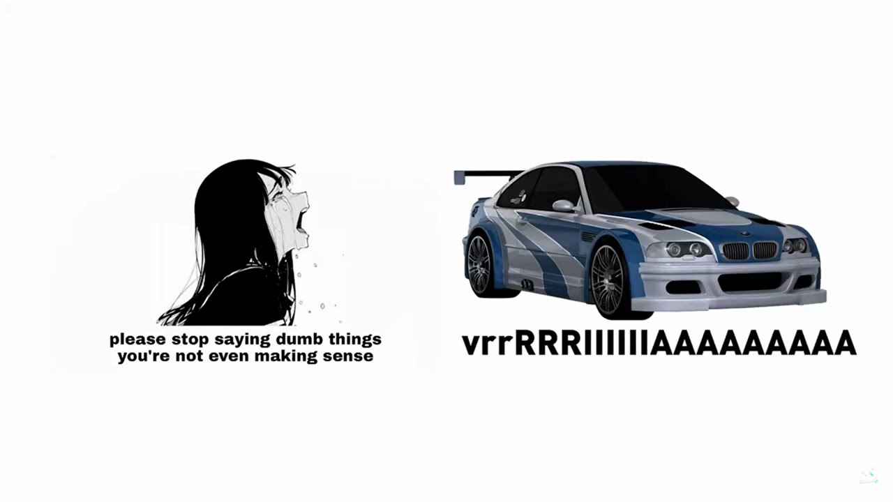 Please stop saying dumbass things, you are not even making sense! - BMW M3 E46 GTR - MentorDex
