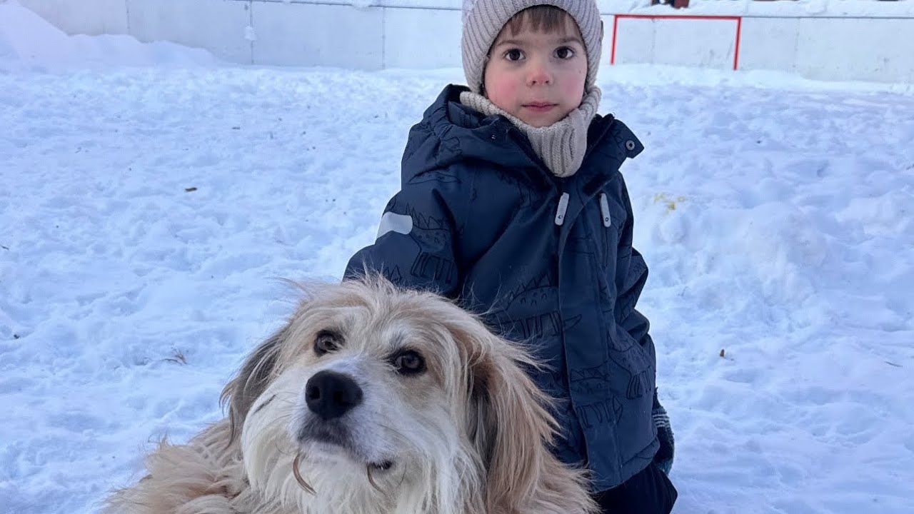 Всякое пятничное 🪄