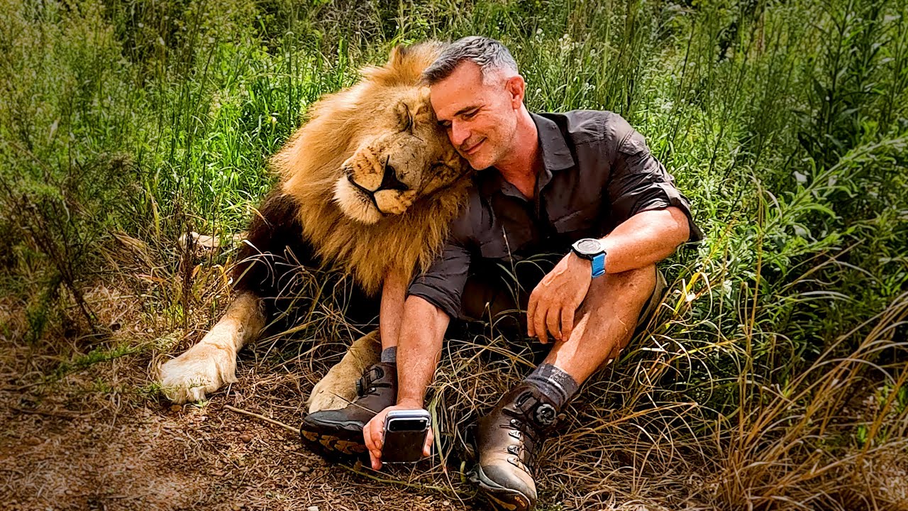 LION, LEOPARD and HYENA Reunite with Human | The Lion Whisperer