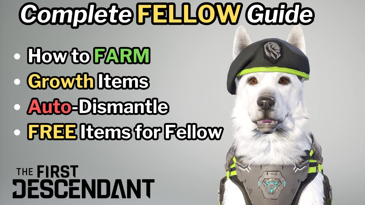 First Descendant - Complete Guide to Fellow - Farming, Leveling, Growth Items, Junk Dismantling