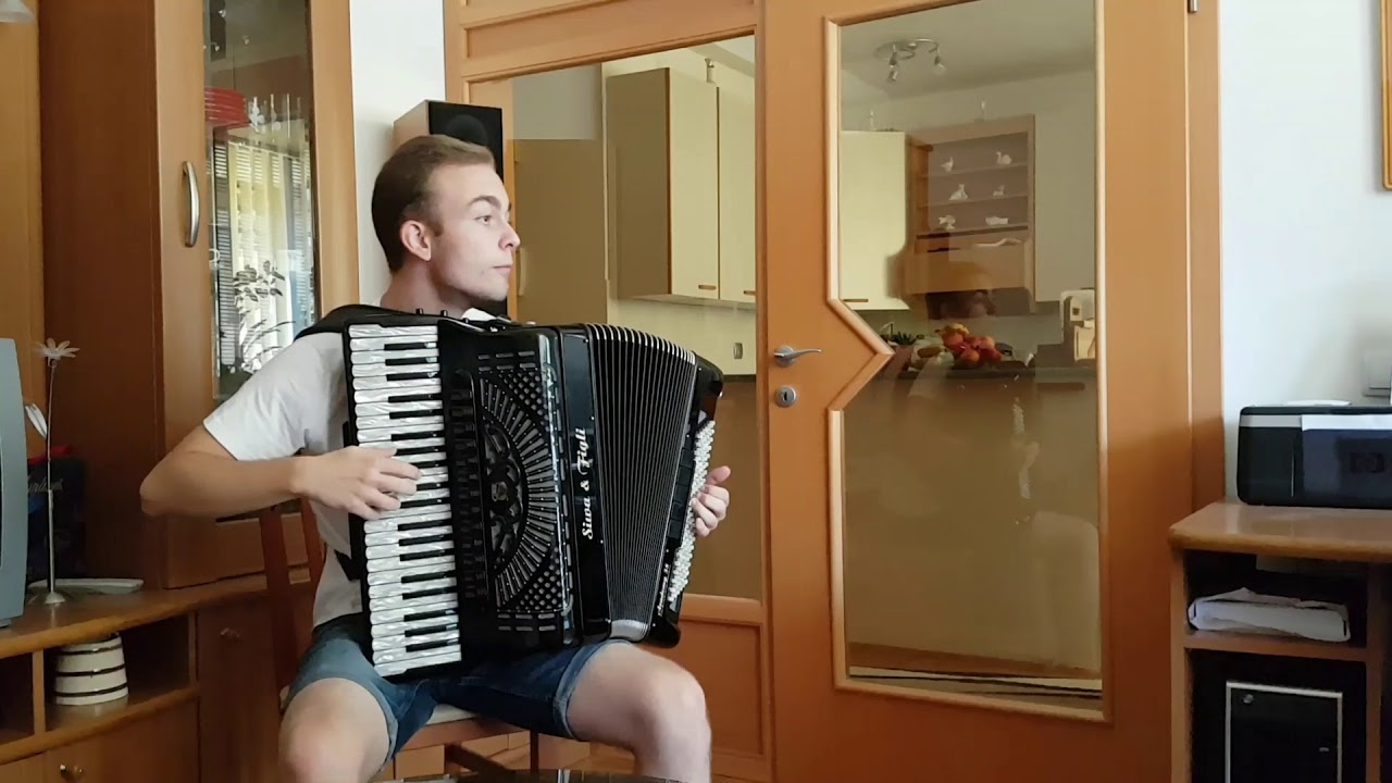 Despacito (Accordion Cover - Sajdin Horozović)