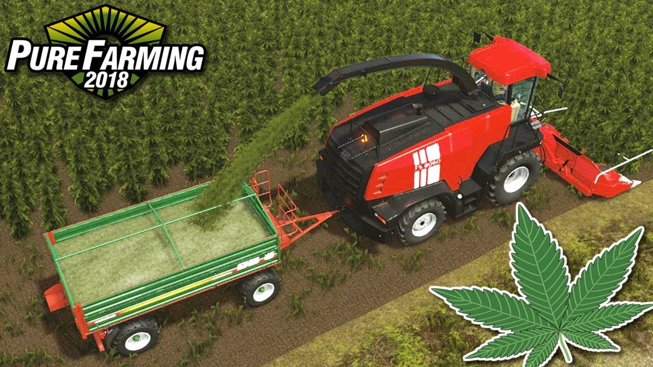 Koszenie konopii - Pure Farming 2018 | #14