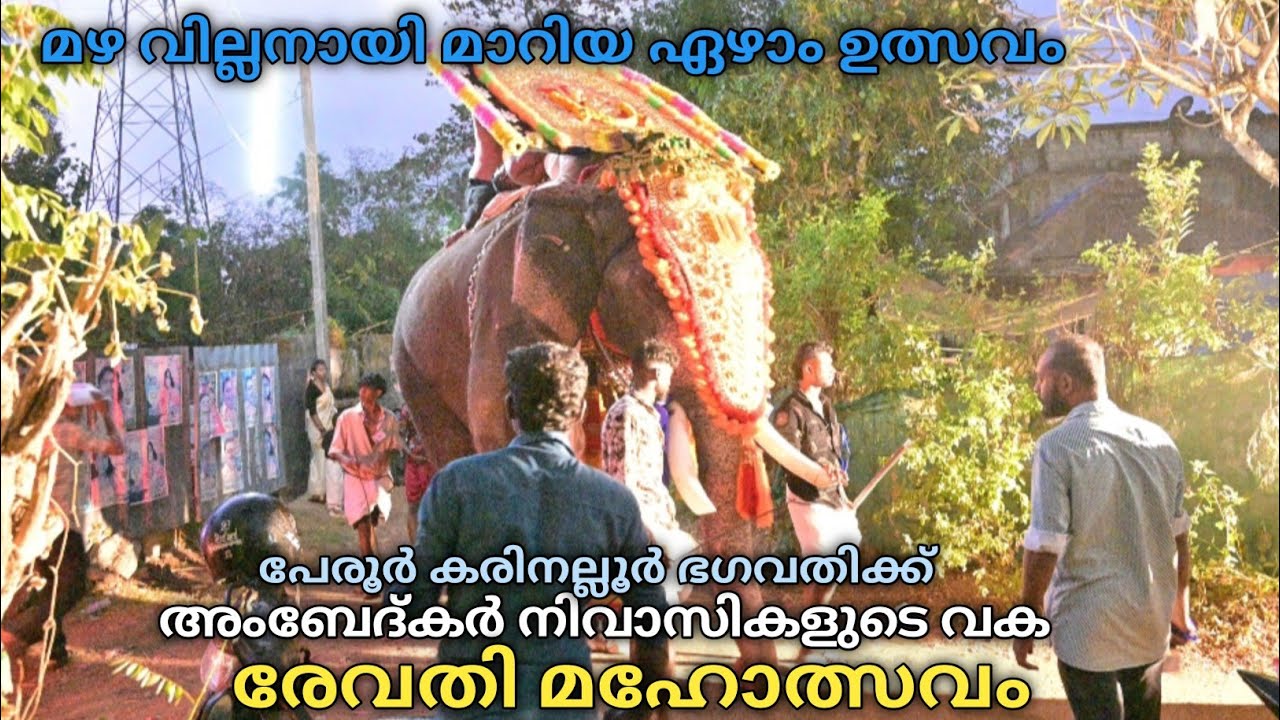 രേവതി മഹോത്സവം | പേരൂർ അംബേദ്കർ -ജയന്തി കോളനി നിവാസികളുടെ ഏഴാം ഉത്സവം |Peroor Karunallur devi temple