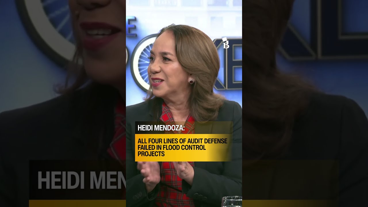 Heidi Mendoza: All 4 lines of audit defense failed in flood control projects