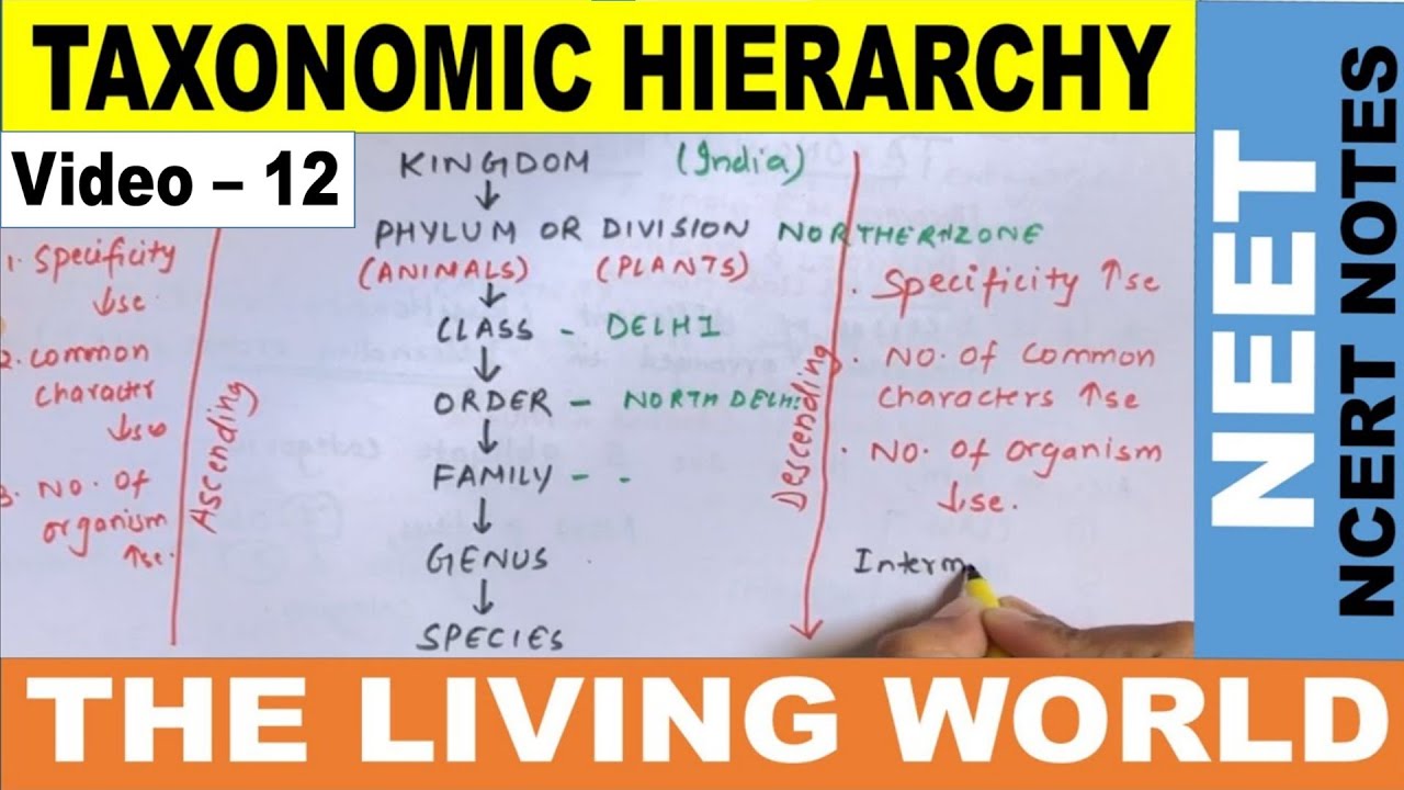 Taxonomic Hierarchy | 7 Obligate Categories of Taxonomic Hierarchy | The Living World | NEET 2021 |