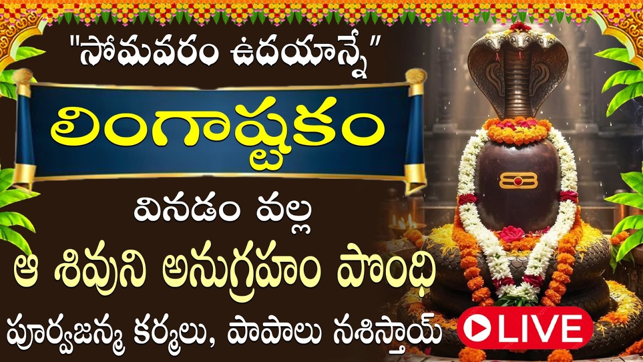 సోమవారం ఉదయం లింగాష్టకం వినడం వల్ల పూర్వజన్మ కర్మలు, పాపాలు నశించి పుణ్యఫలం లభిస్తుంది / LINGASTAKAM