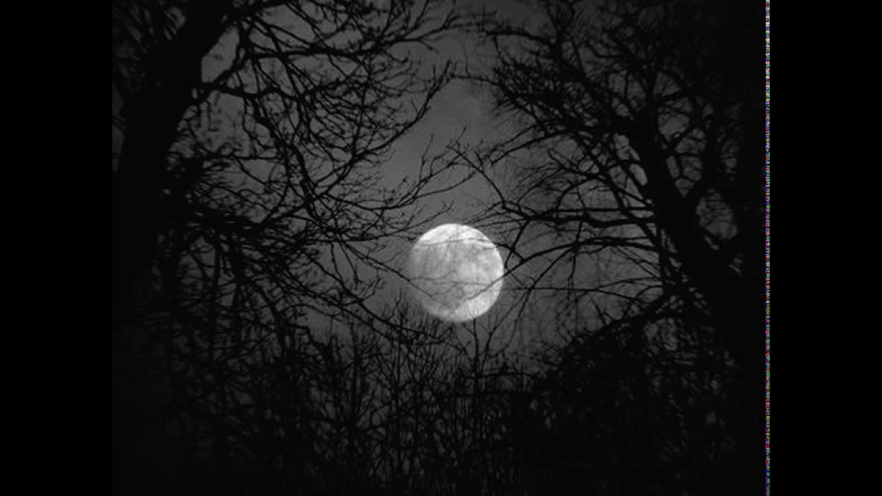 Ghostmourn : In Darkness, Enshrined