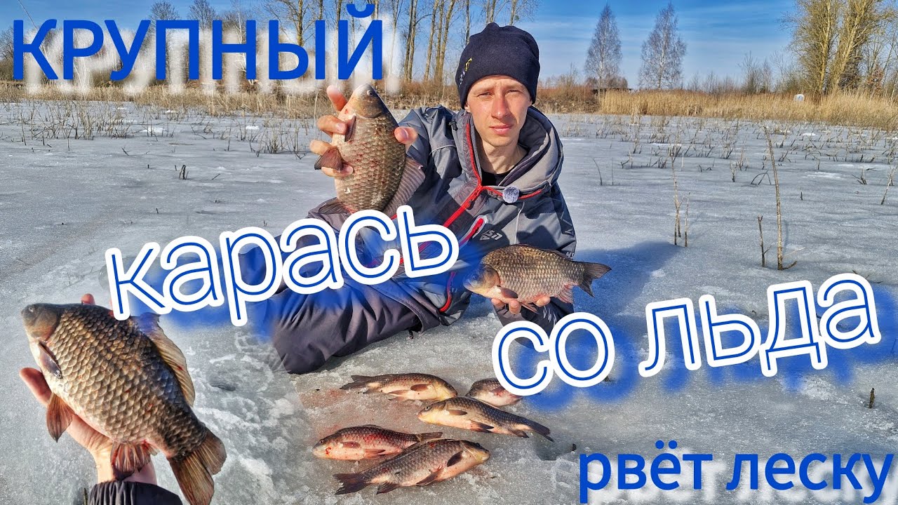 Карась не влазит в лунку! Последний лед. Ловля крупного карася со льда.