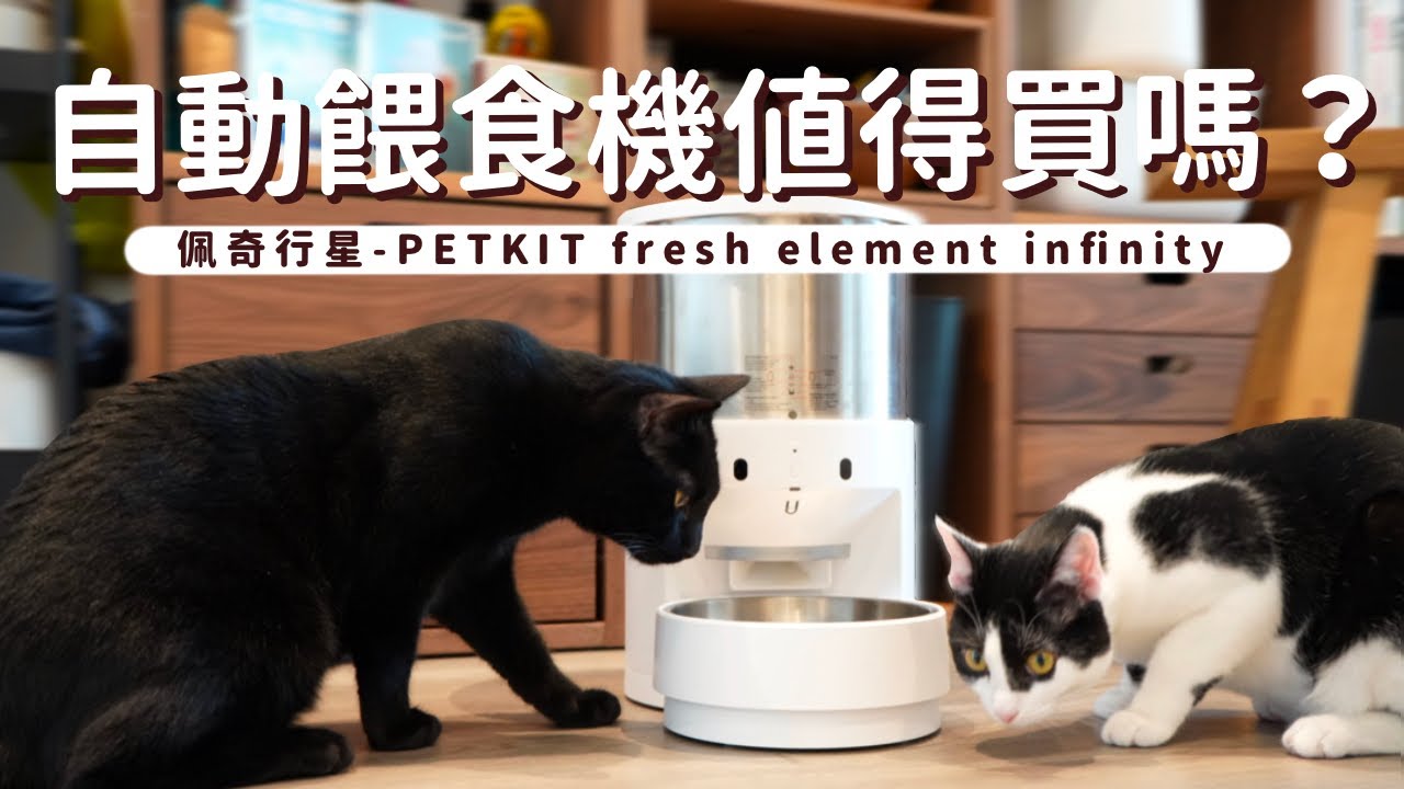 【自動餵食器推薦】養貓必需品？真實使用心得分享！佩奇行星不鏽鋼寵物餵食器 - PETKIT fresh element infinity feeder |
