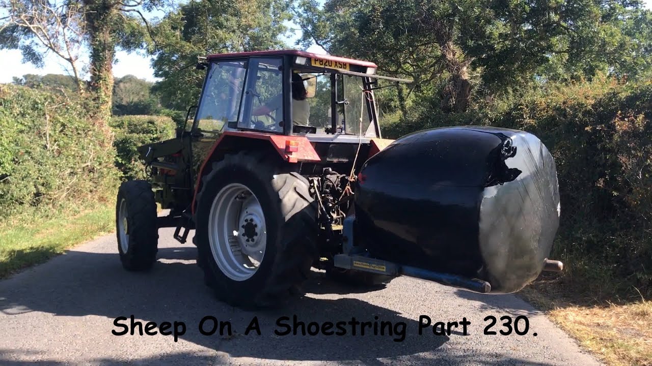 Sheep On A Shoestring Part 230.