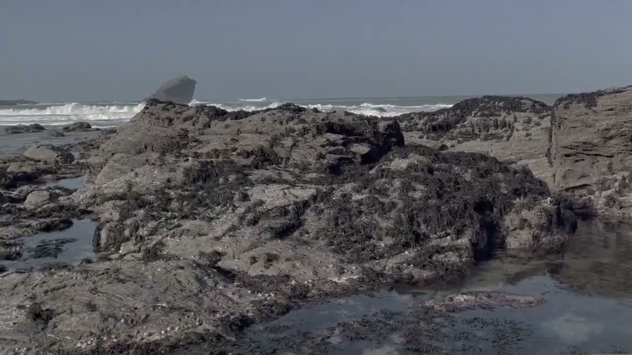 Rockpools Portreath beach Cornwall