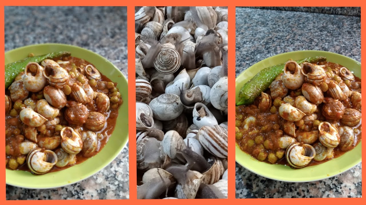 مرقة جلبانة بالببوش ( الحلزون ) 🐌 مع الطريقة الصحيحة لتنظيفو
