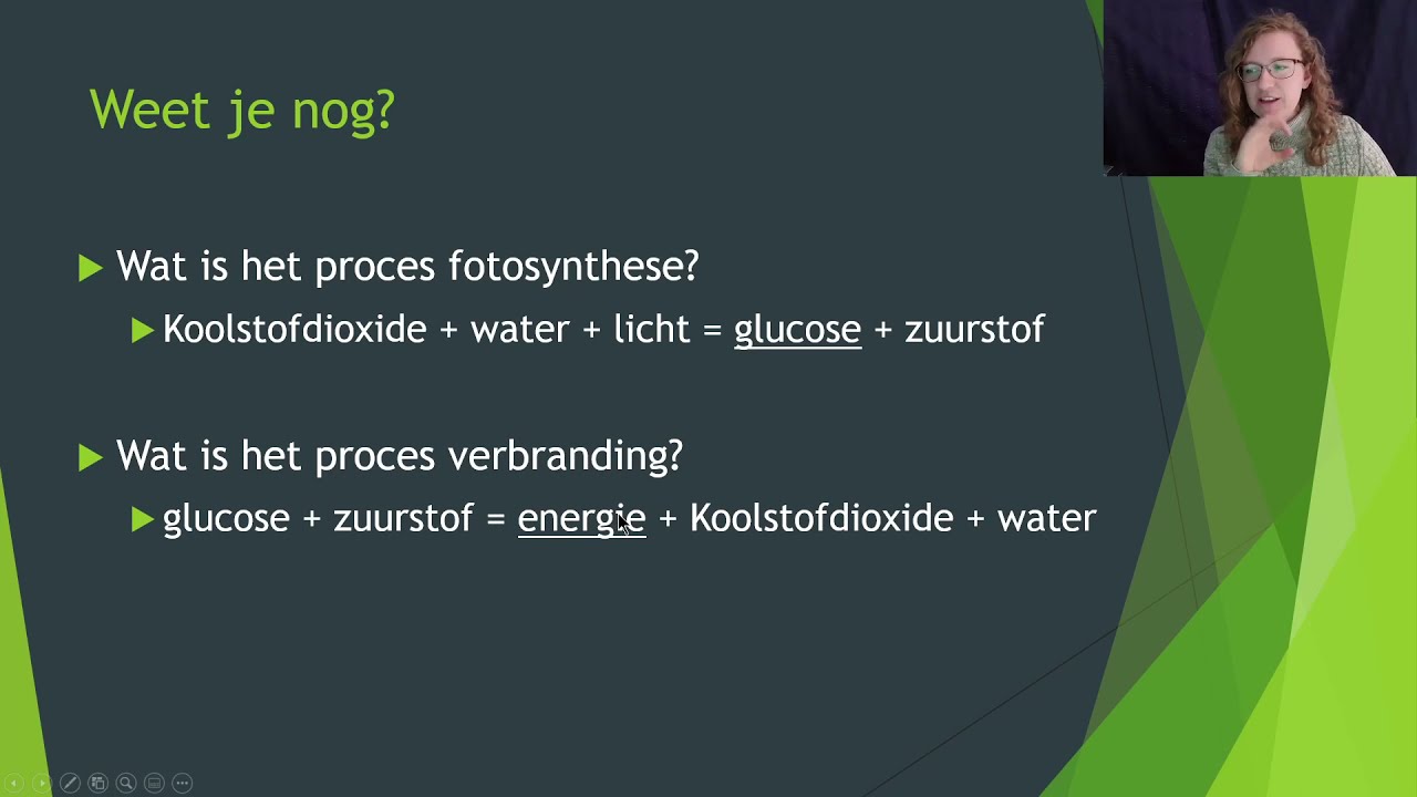 Hoe komen planten aan zuurstof?