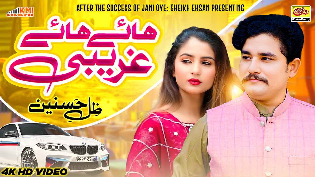 Hye Hye Gharebi | NEW OFFICIAL SONG | Zille Hasnain | Hye Hye Gharebi Lagde Churaye Ni