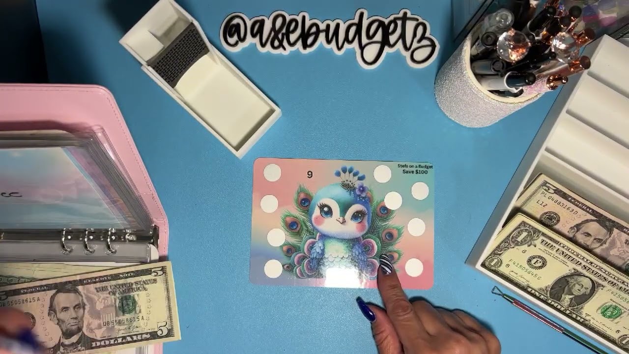 Sinking Funds 💙 $180 💙