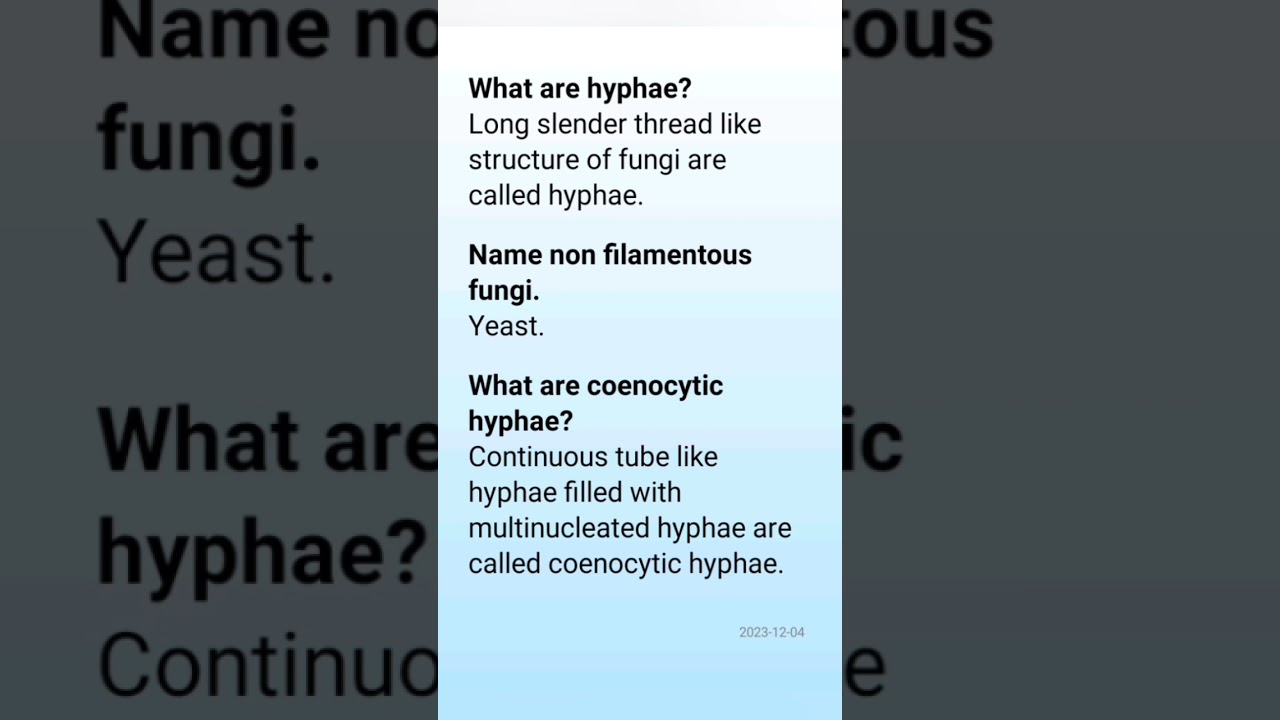 Hyphae