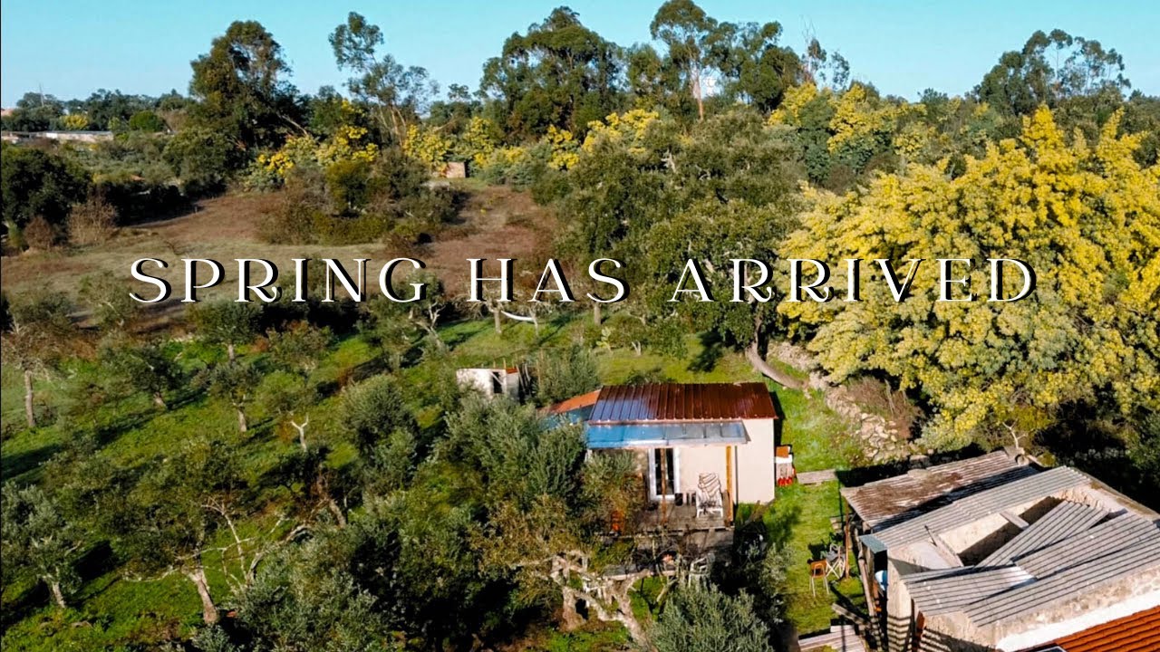 Preparing for the Next Chapter on our Homestead
