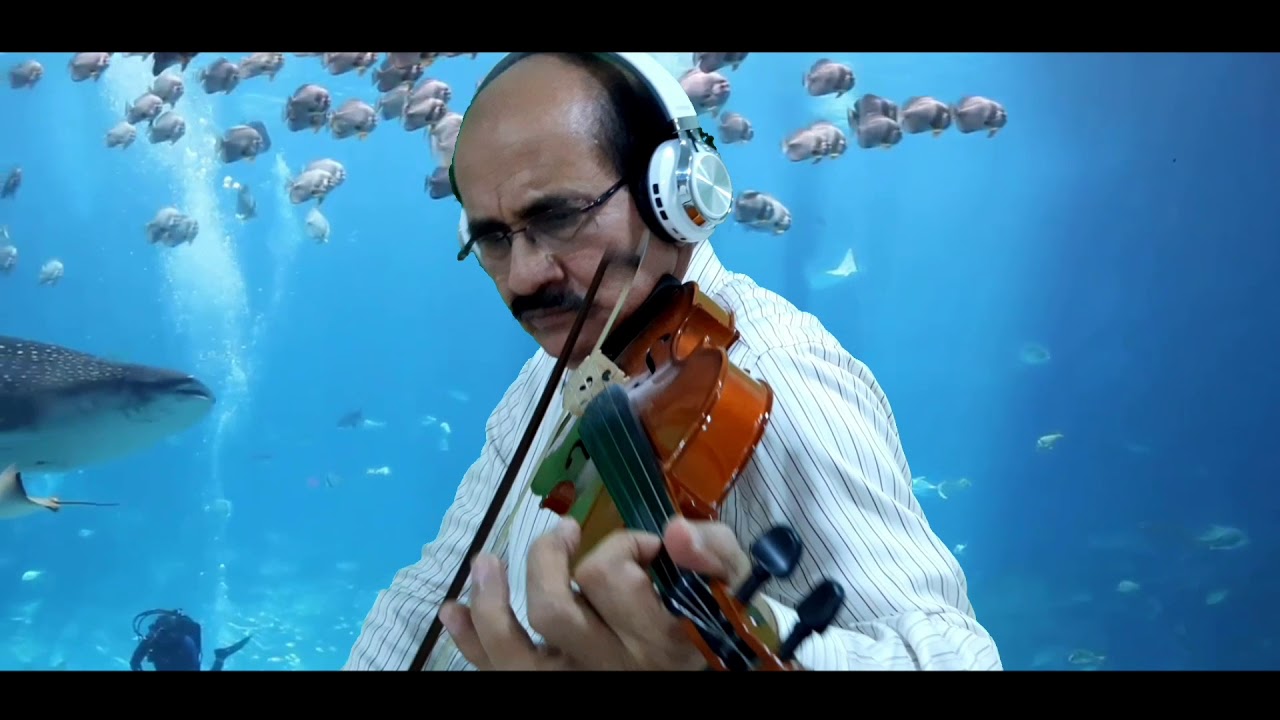 Pal Pal Dil Ke Paas - Hindi Song Violin Cover