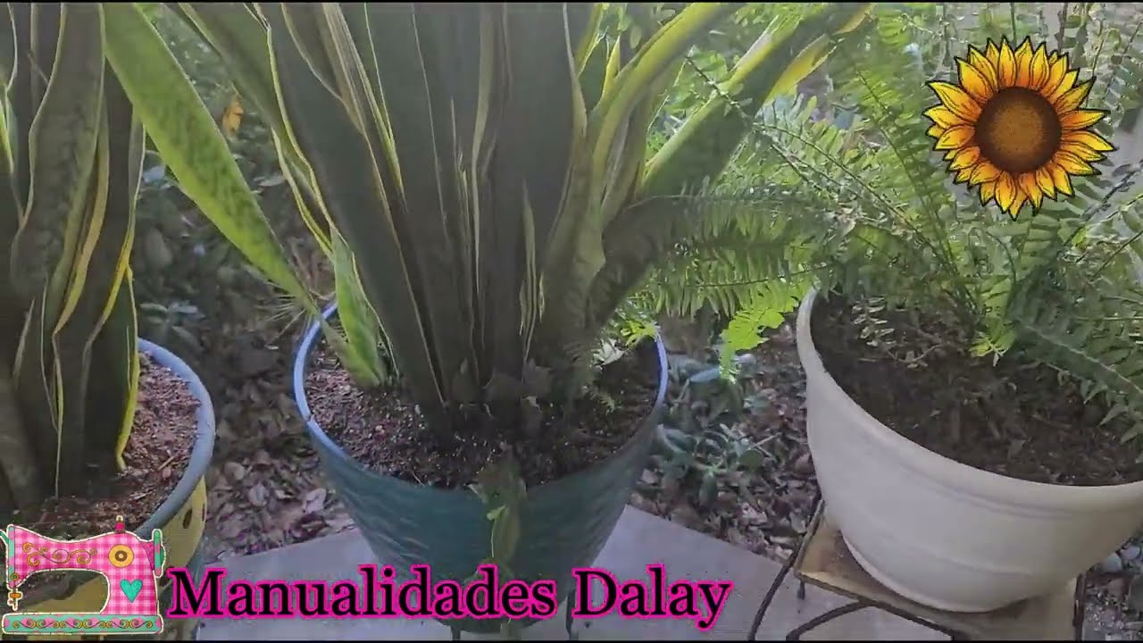 SI TIENES MADERAS O ROTULOS VIEJO PODEMOS RENOVARLO