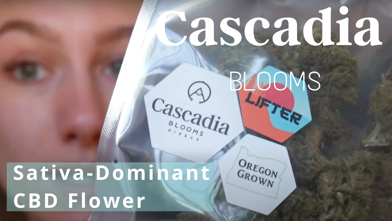 Daytime CBD Flower Strain For An Energetic Boost!