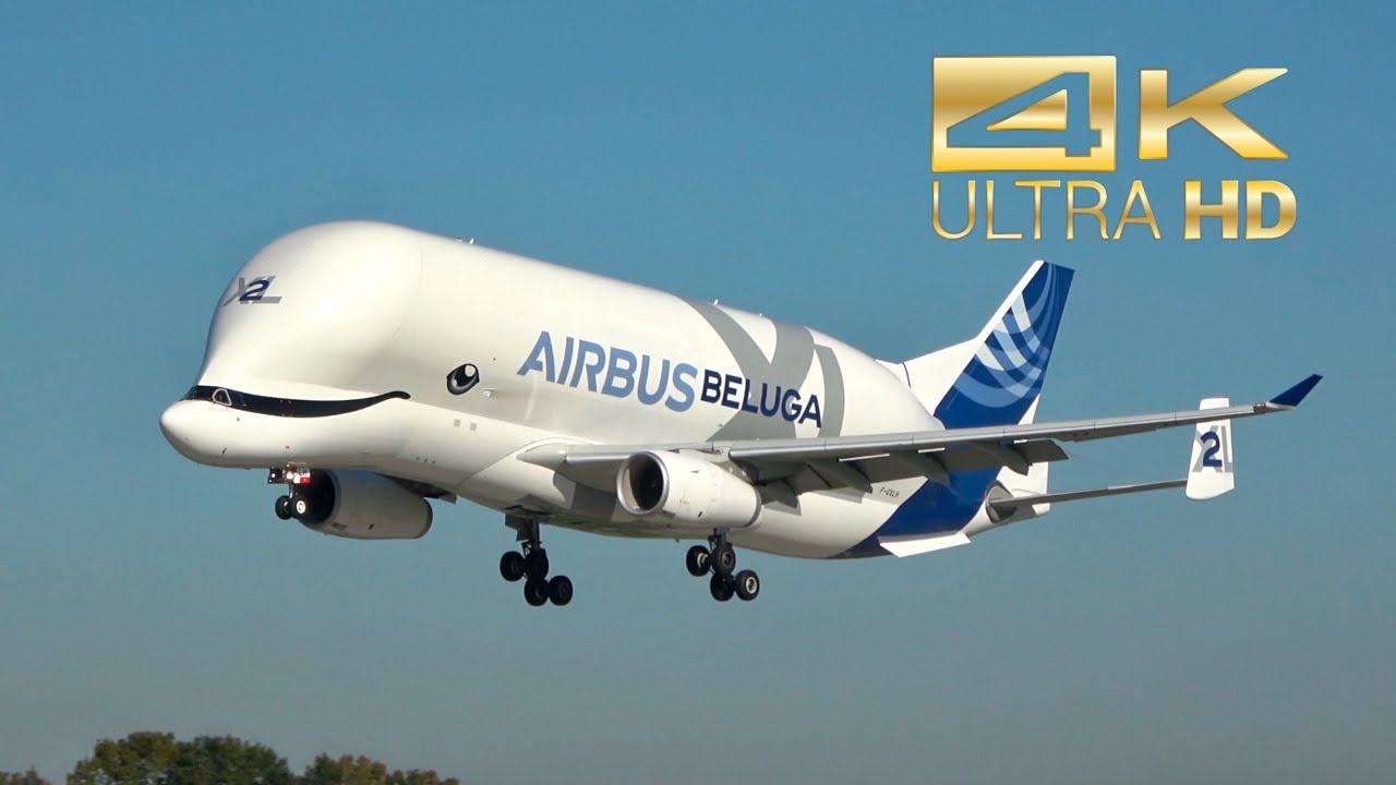 (4K) Airbus A330-743L Beluga XL F-GXLH arrival Manching Airbase ETSI IGS XL2