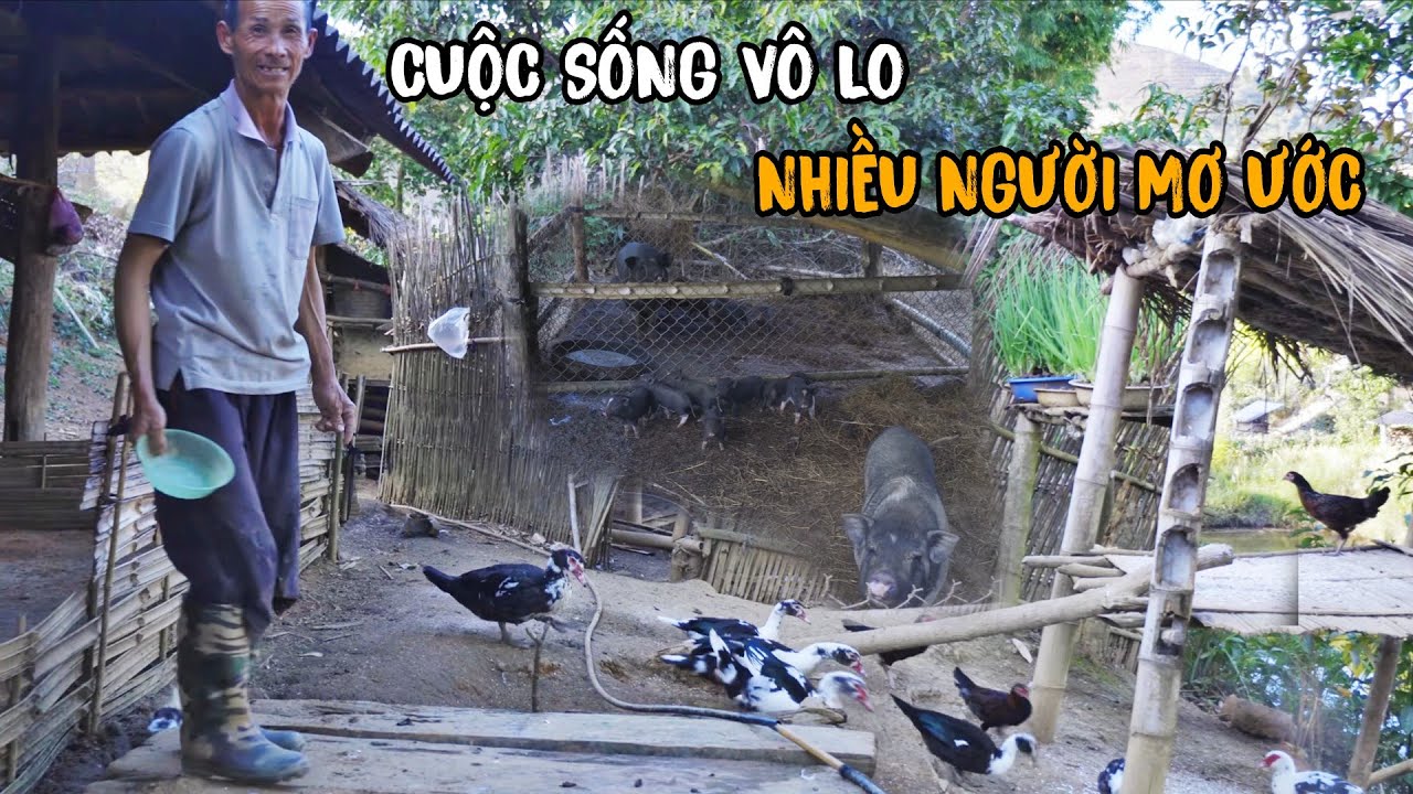 Rời thành phố lên núi ở ẩn sống với thiên nhiên yên bình chăn nuôi trồng trọt để sinh tồn