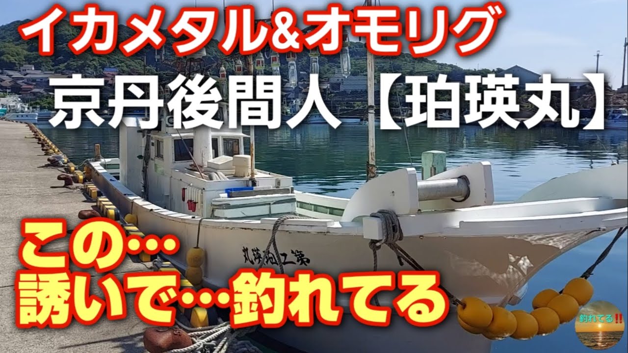 衝撃的‼️【秘技】この誘いで…イカにスイッチを入れる‼️イカメタル&オモリグ京丹後市間人【珀瑛丸】６月下旬