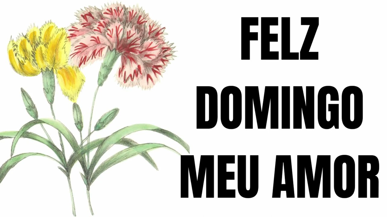 FELIZ DOMINGO MEU AMOR      ( LINDA MENSAGEM )