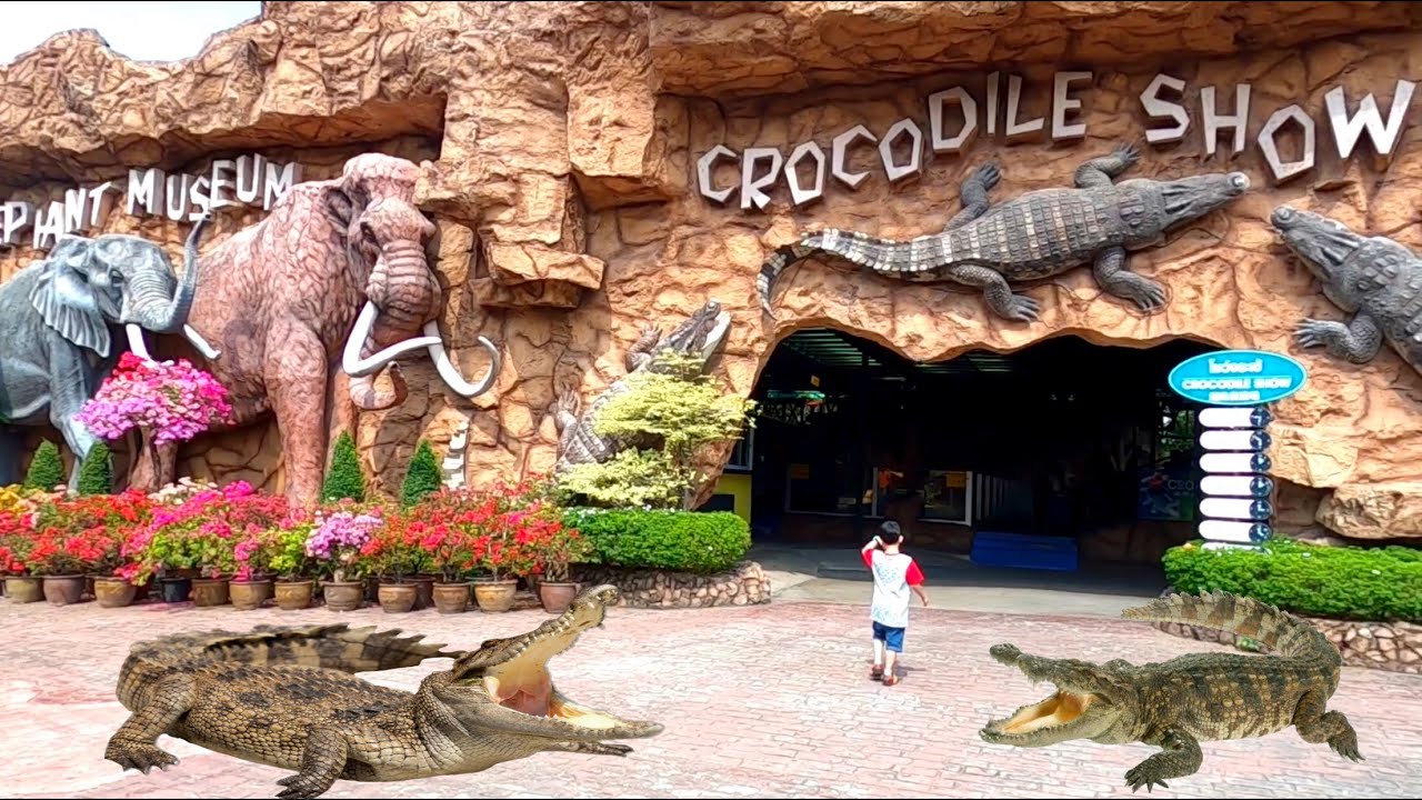 Crocodile Show in Sriracha Tiger Zoo Pattaya Thailand (FULL SHOW)