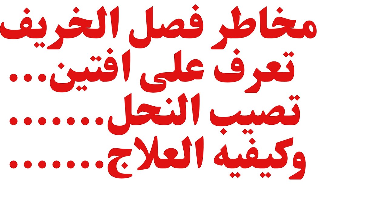 الفاروا والنوزيما المرضين الملازمين للنحل وعلاجهما