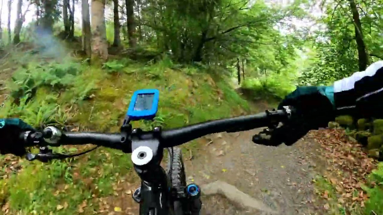7Stanes Kirroughtree Blue Trail Blast
