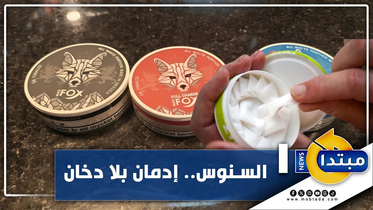 السنوس.. إدمان بلا دخان