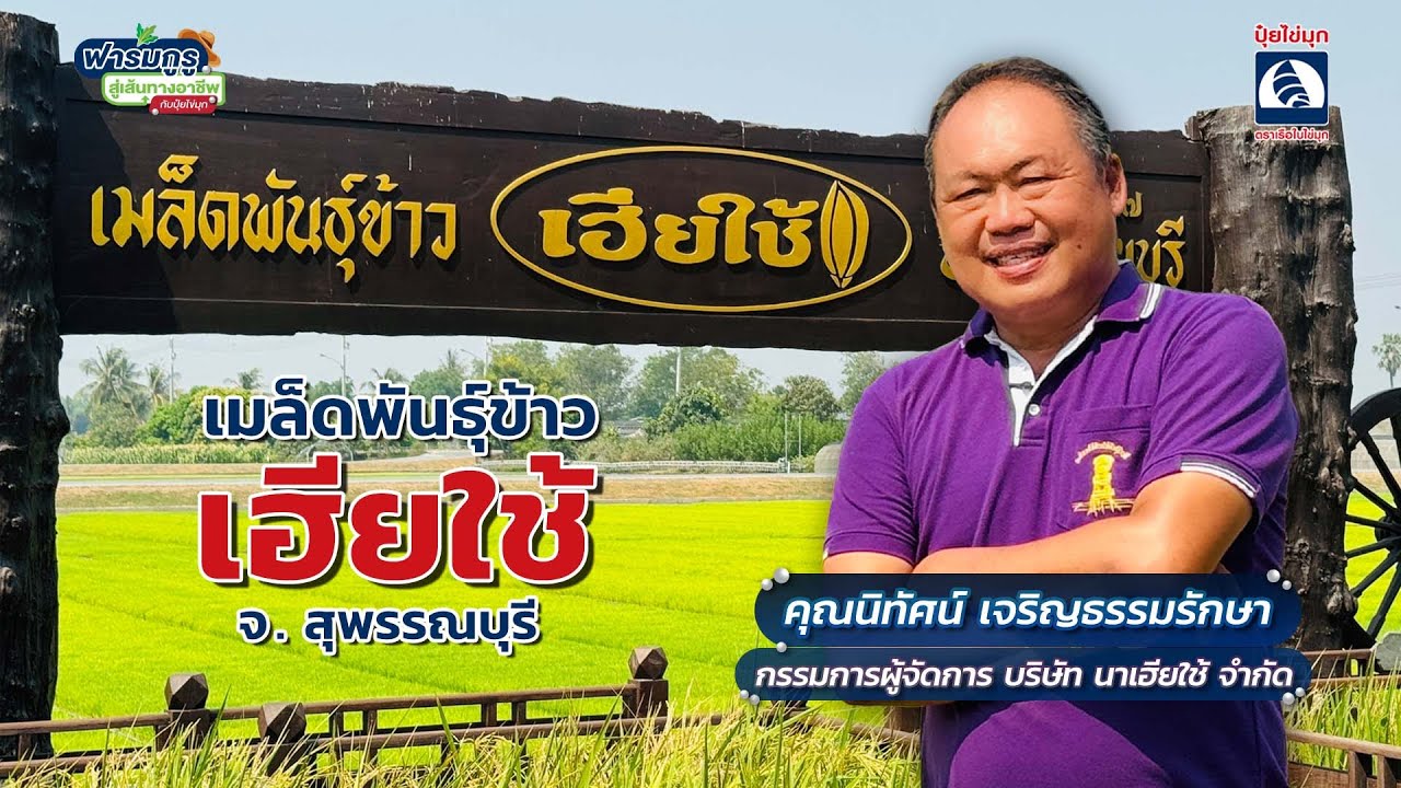 ฟาร์มกูรูสู่เส้นทางอาชีพ ตอน เมล็ดพันธุ์ข้าว เฮียใช้ จังหวัดสุพรรณบุรี