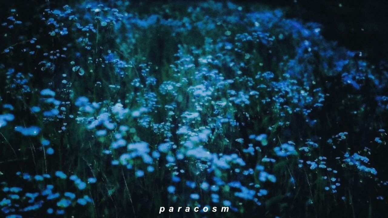 wildflower but you're in a ballroom