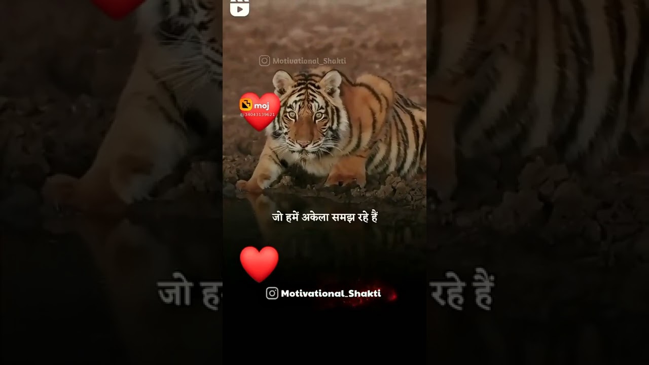 chirag singh(2)