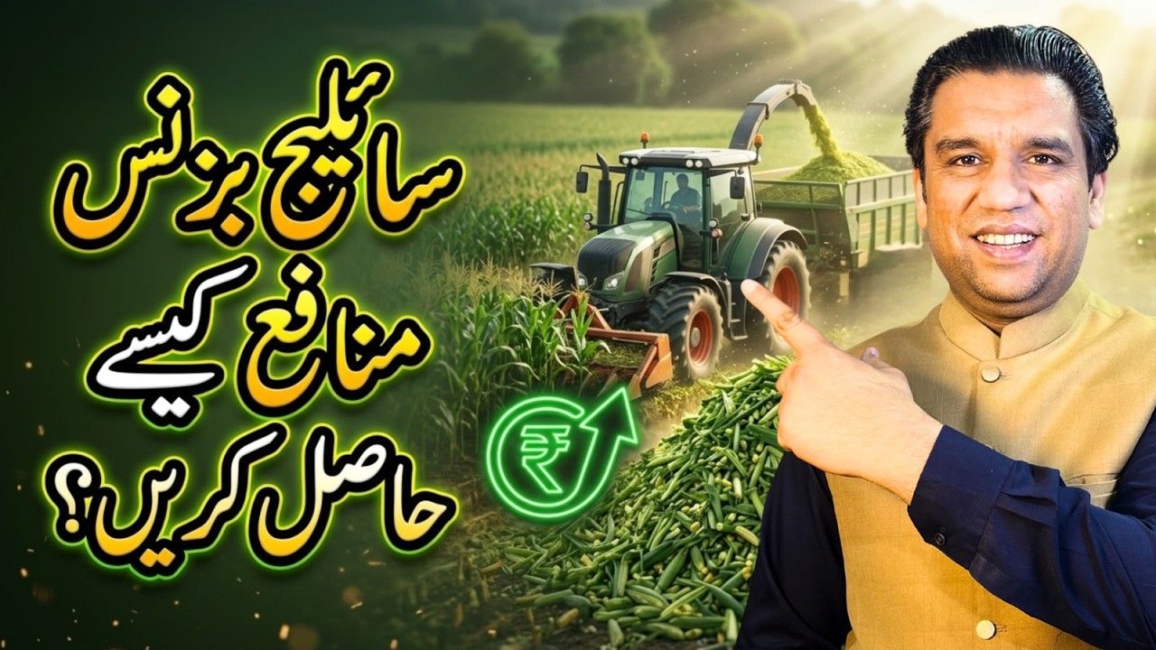 How to Run a Profitable Silage Business in Pakistan - A Practical Video Guideline!!!
