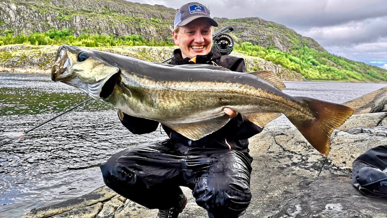 MONSTERFISCHE!! Fliegenfischen in Norwegen🇳🇴