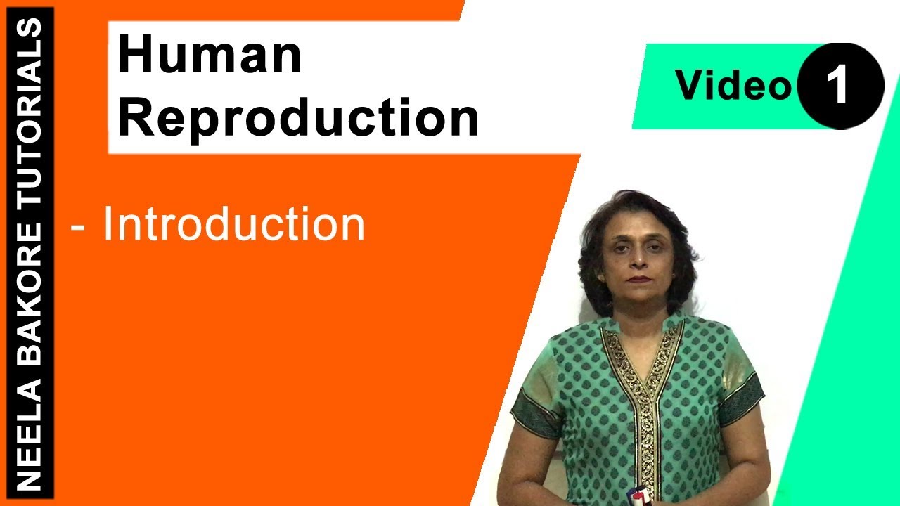Human Reproduction | NEET | Introduction | Neela Bakore Tutorials