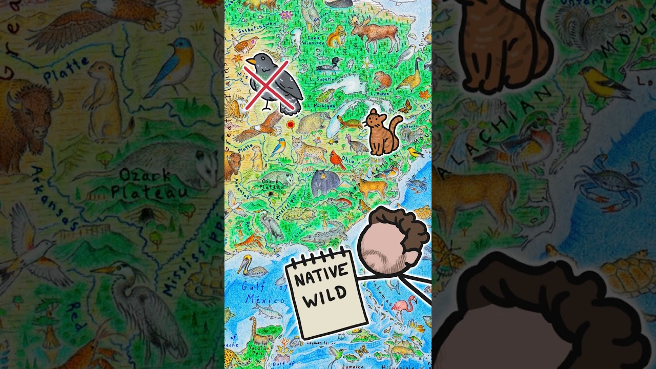 &iexcl;Este mapa muestra los animales del mundo! #mapa #animales