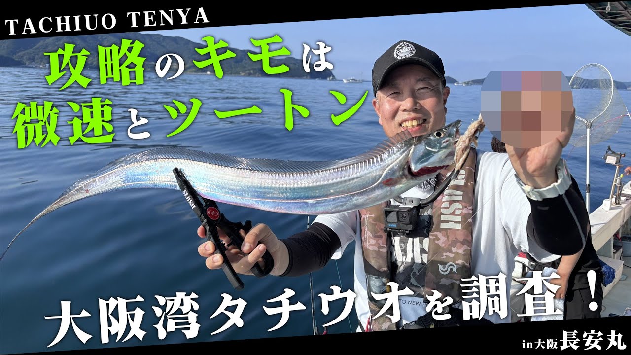 【タチウオテンヤ】今年のタチウオテンヤを調査してみたら絶好調だった件