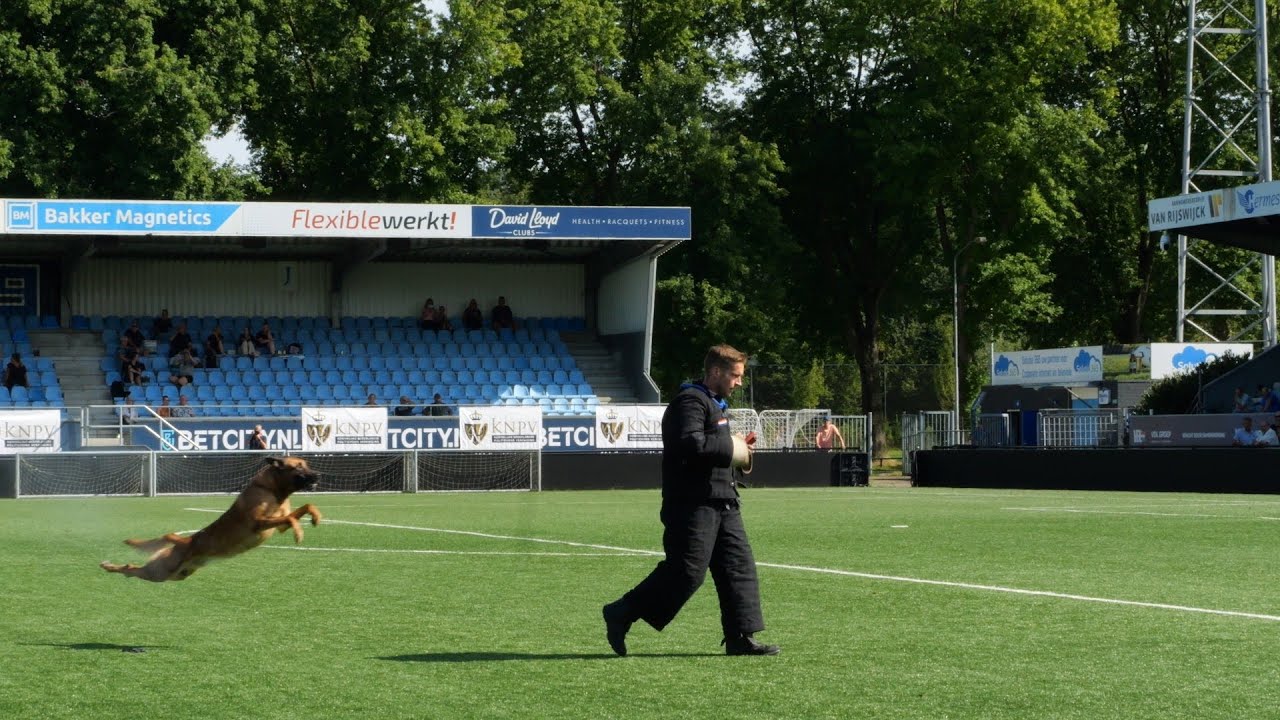 KNPV Nationale Kampioenschappen  2024  Eindhoven