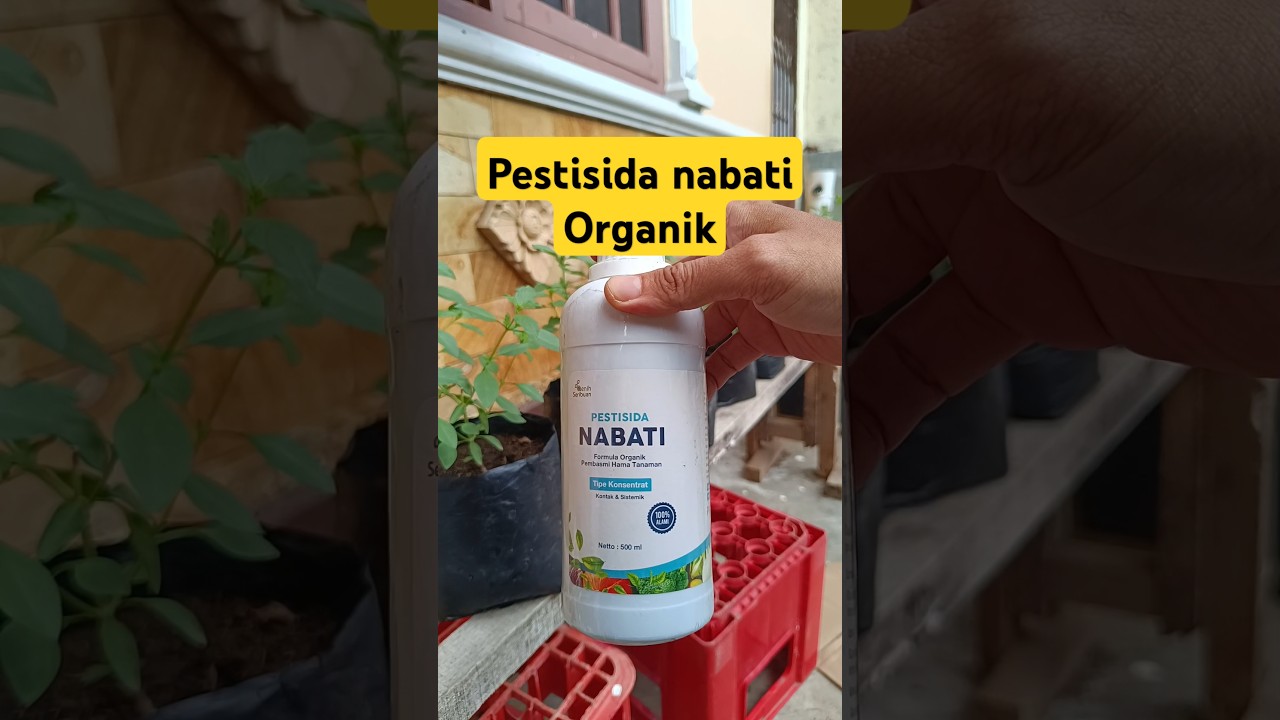 Pestisida nabati organik dari benih seribuan