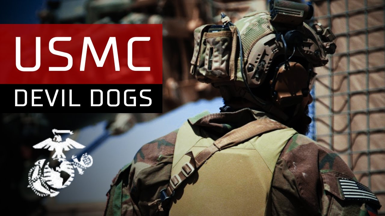 DEVIL DOGS USMC