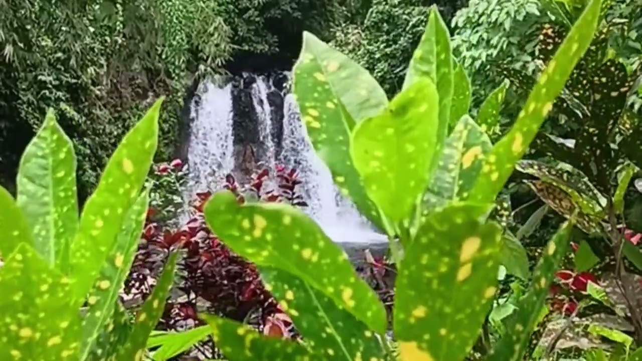Pure Nature: Relaxing Waterfall Sounds for Sleeping