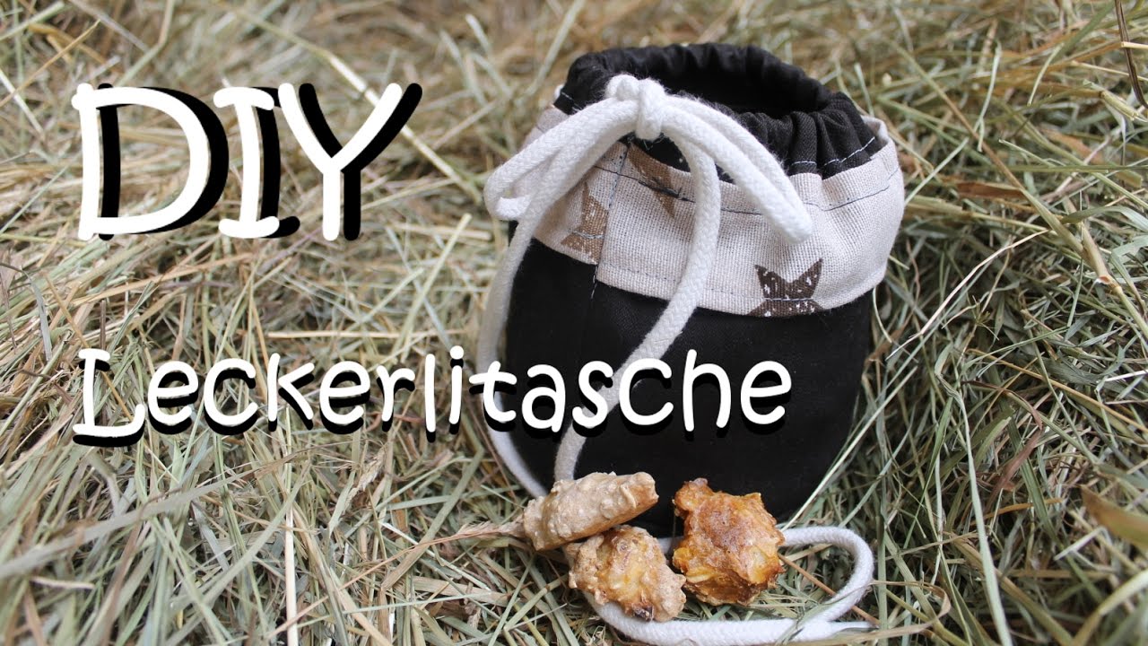 DIY - Leckerlitasche