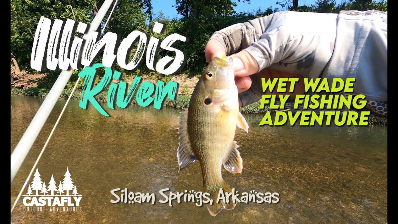 Fly Fishing on the Illinois River near Siloam Springs Arkansas