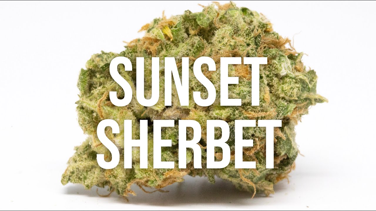 Sunset Sherbet strain review - super TASTY & GREAT high